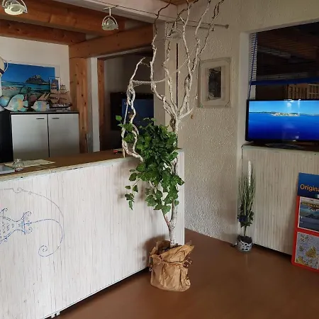 Apartman In With Garden Olbia